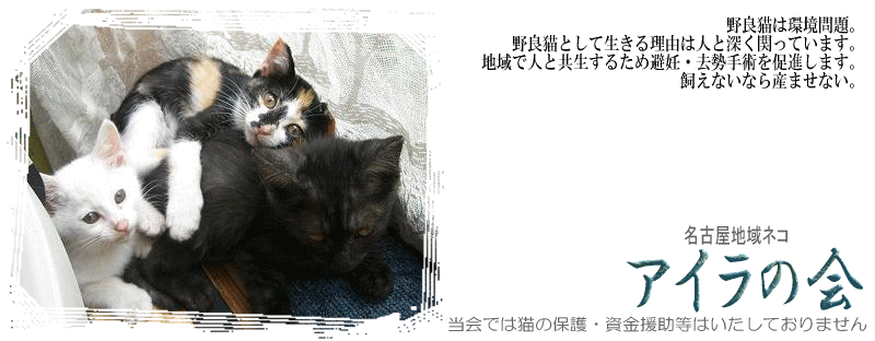 野良猫は環境問題。野良猫として生きる理由は人と深く関っています。地域で人と共生するため避妊・去勢手術を促進します。飼えないなら産ませない。名古屋地域ネコ「アイラの会」